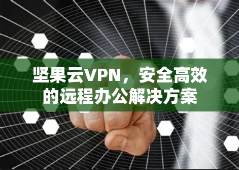 坚果云VPN,安全高效的远程办公解决方案 坚果云VPN,安全高效的远程办公解决方案