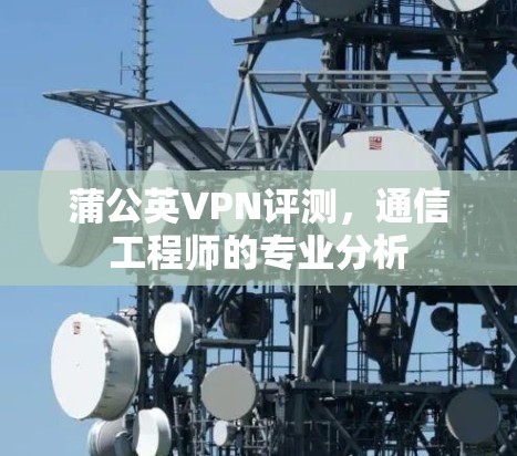 蒲公英VPN评测,通信工程师的专业分析